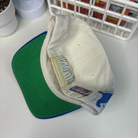 1990s Detroit Lions Sports Specialties “Laser” Snapback Hat