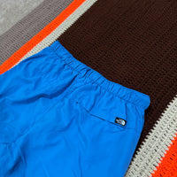 The North Face Baby Blue Shorts Small